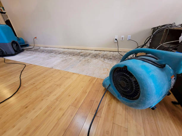 Professional Ceiling Water Damage Repair technician working in Junction City, KS