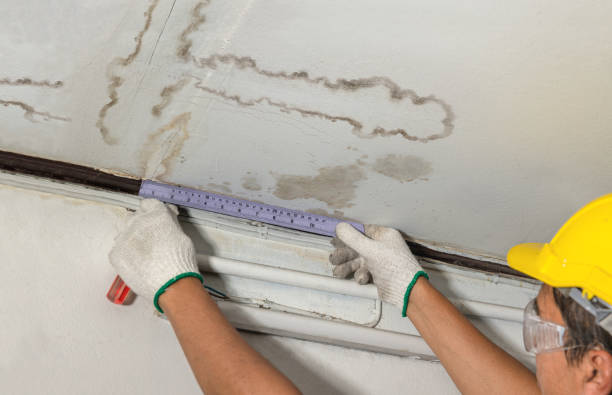 Affordable Ceiling Water Damage Repair solutions in Junction City, KS